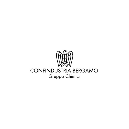 Confindustria Bergamo Gruppo Chimici
