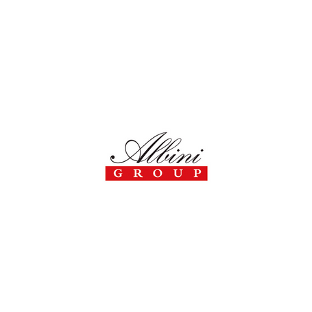 Albini Group