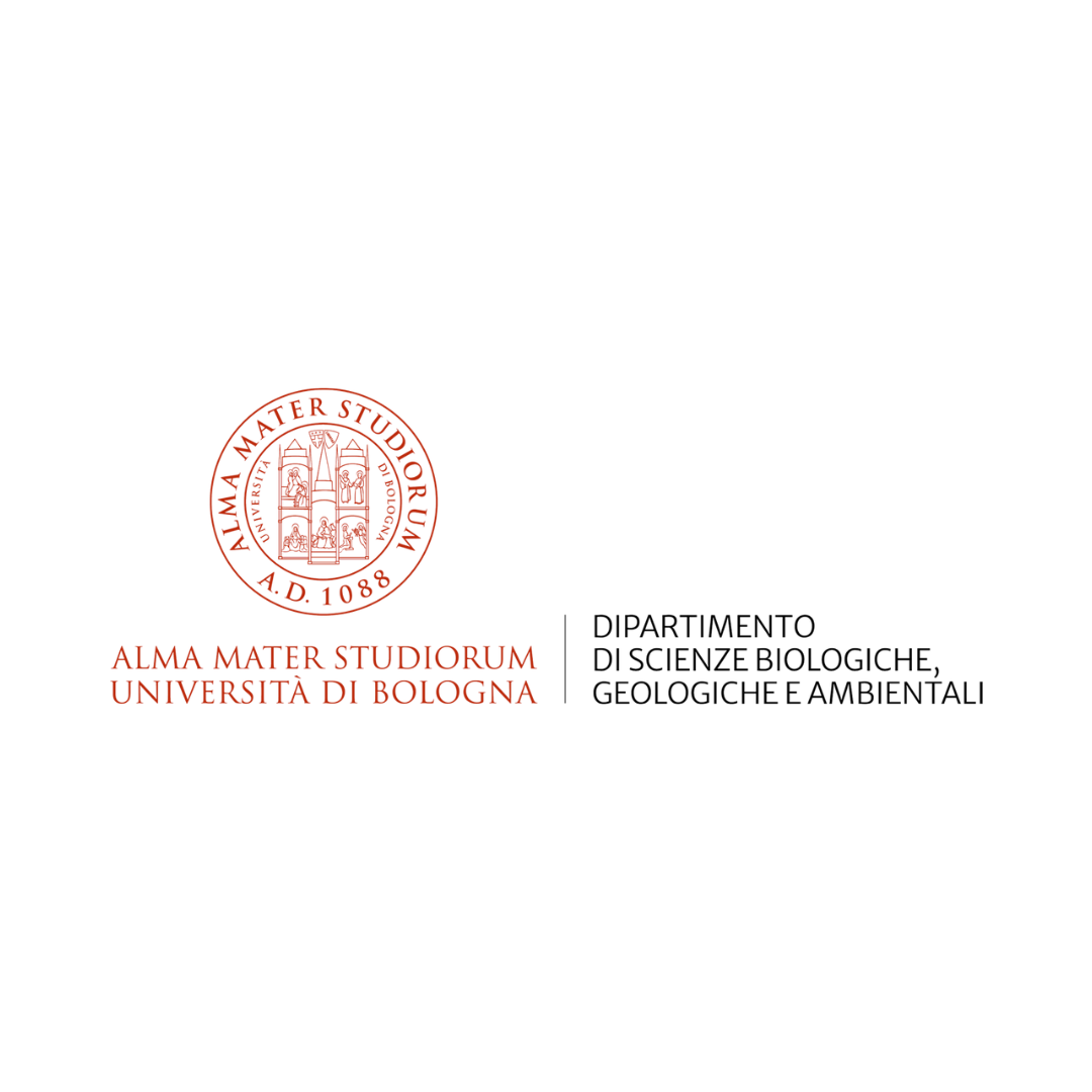 Alma Mater Studiorum Università di Bologna
